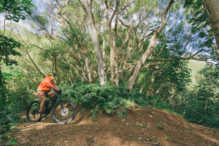 photo: MTB bicyclist using fat tires to take the Ohana Trail.