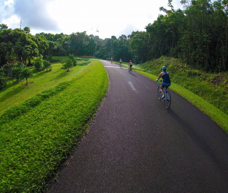 Bicycles offer some of the best views of the windward botanical garden near Kaneohe and Kailua