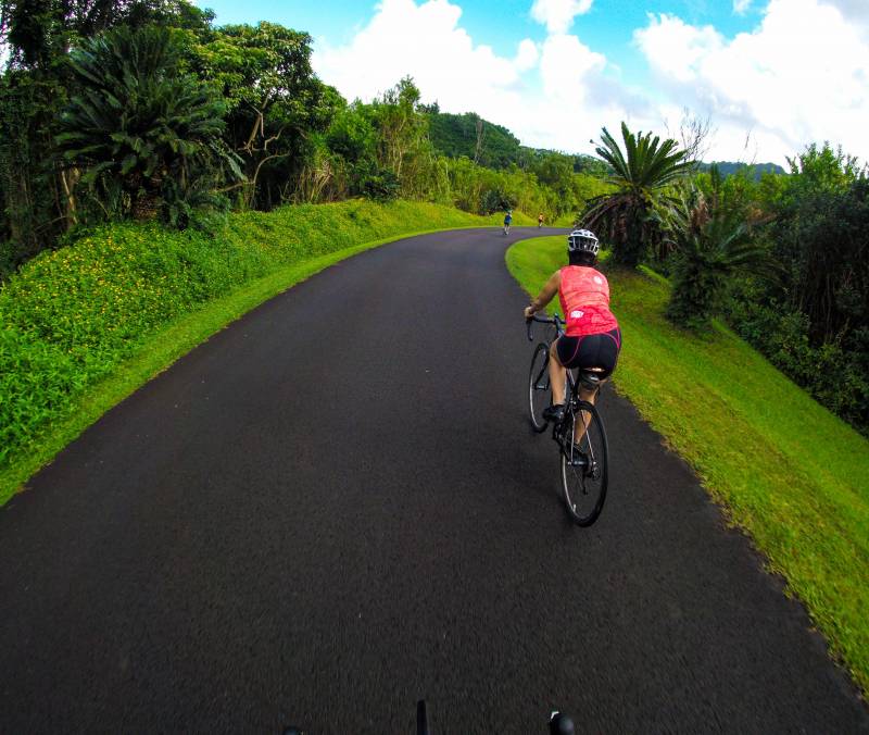 Paved roads in Kaneohe's Hoomaluhia Botanical Garden, only gentle hills