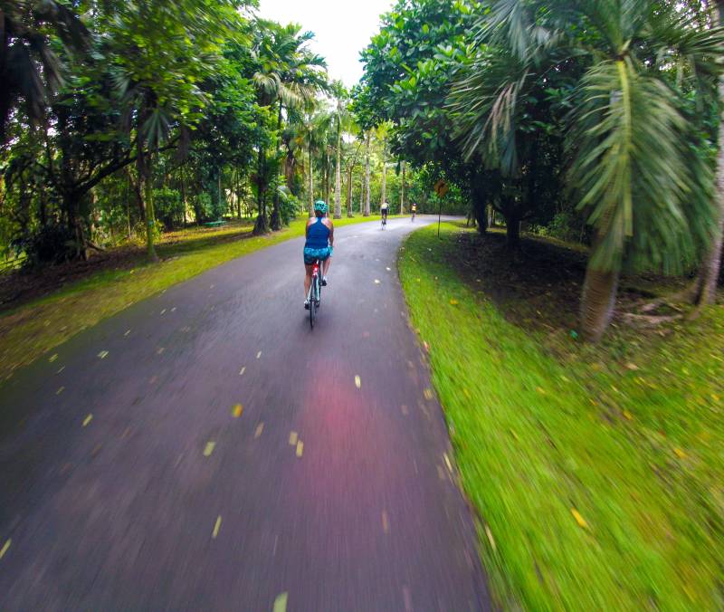 Cyclists can find quiet times at the Great bike routes in the Hoomaluhia Botanical Garden